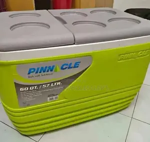 57 Litres Clean Pinnacle Cooler Box