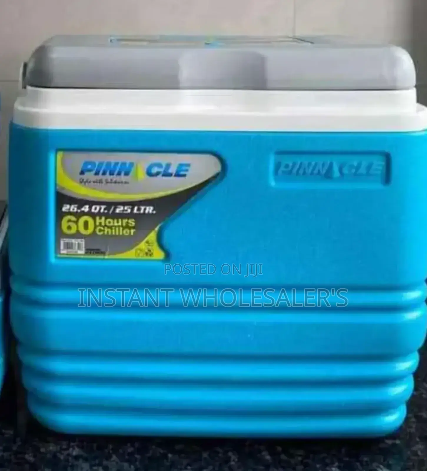 Strong Durable Cooler Boxes 25L