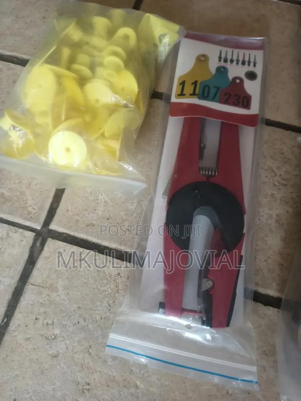 Personalized Yellow Ear Tags Plus Tagging Machine - thumbnail 2