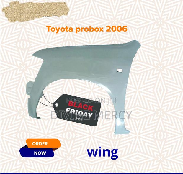 Wings Probox 2005 - main view