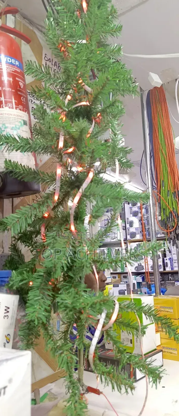 Christmas Tree/Xmas Tree