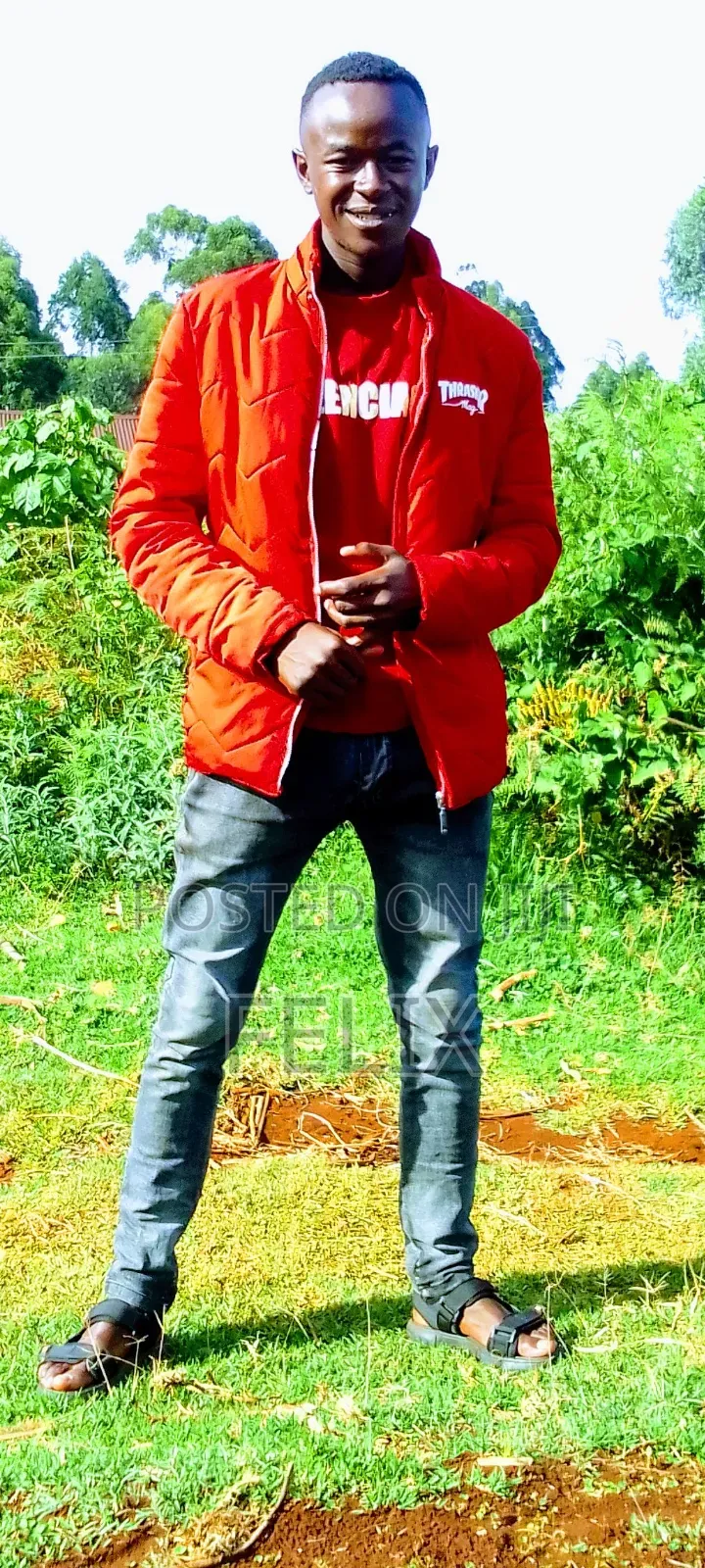 My Curriculum Vitae "Felix Wagura
