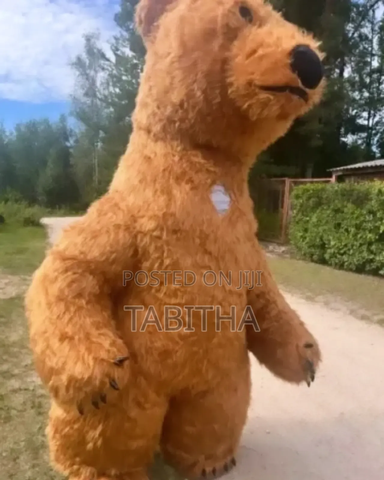 Inflatable Mascots Costumes for Sale