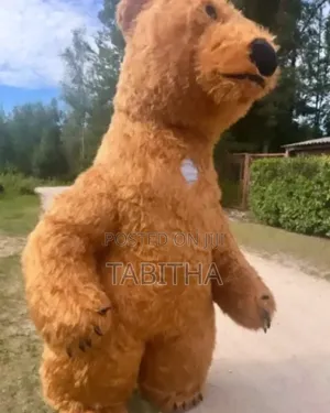 Inflatable Mascots Costumes for Sale