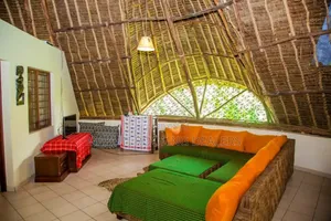 Makuti Thatch Dealers