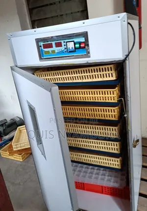 Affordable 528eggs Incubator/ Automatic Incubator.