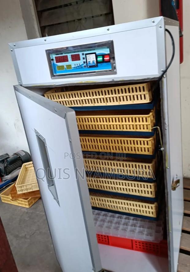 Affordable 528eggs Incubator/ Automatic Incubator.