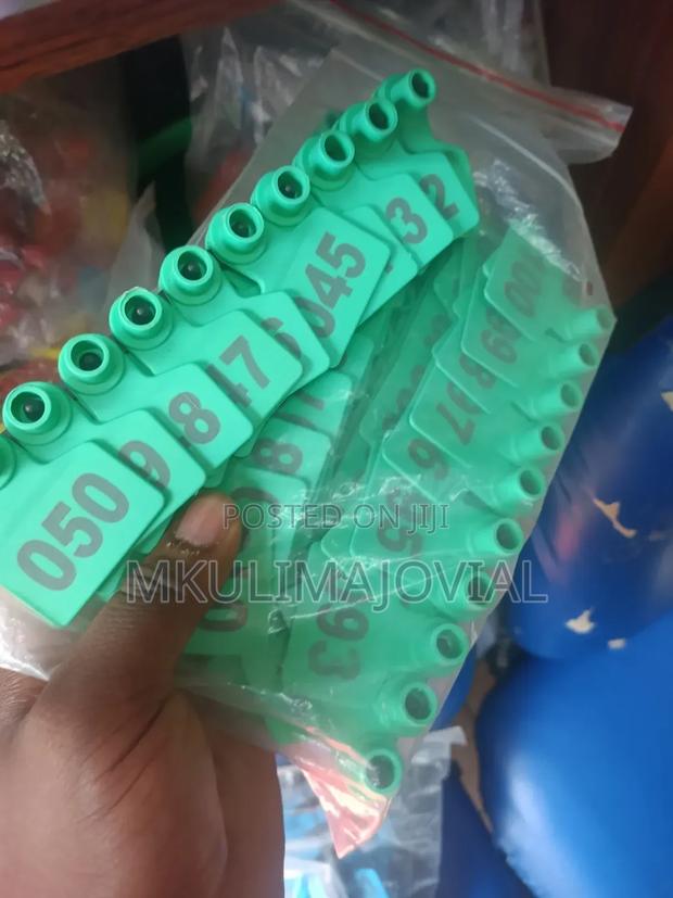 Cow Ear Tags Green Color Type