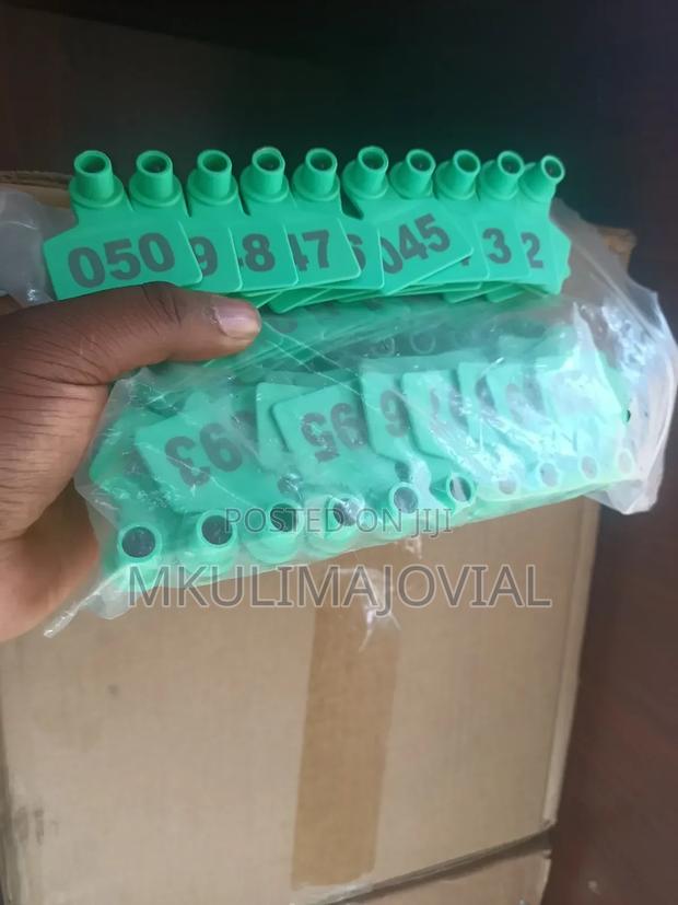 Green Cow Ear Tags Numbered -Medium Size