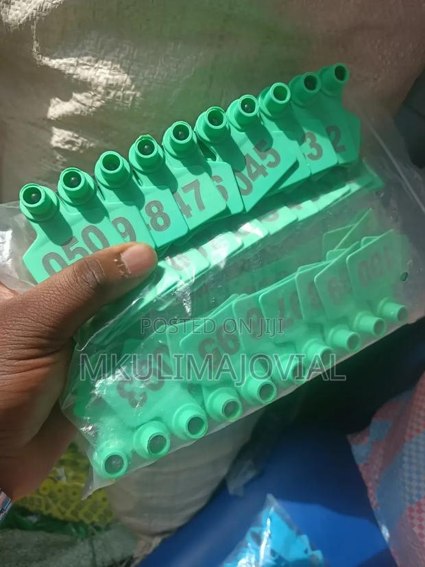 Laser Customized Permanently Printed Ear Tags - thumbnail 2