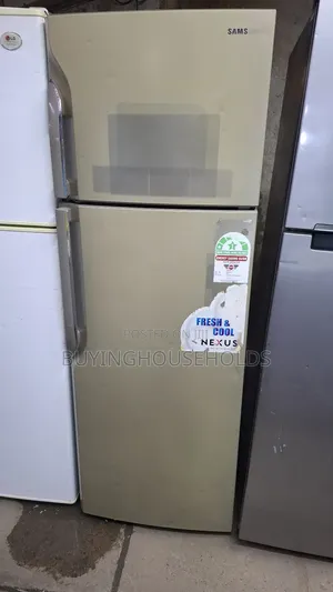Samsung 320L Two Door Fridge