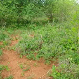 23 Acres at Mwala-Machakos Selling at Per Acre