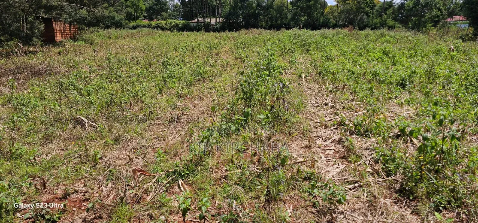 1⁄2 Acre Commercial Racecours Elgonview Eldoret