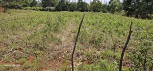 1⁄2 Acre Commercial Racecours Elgonview Eldoret