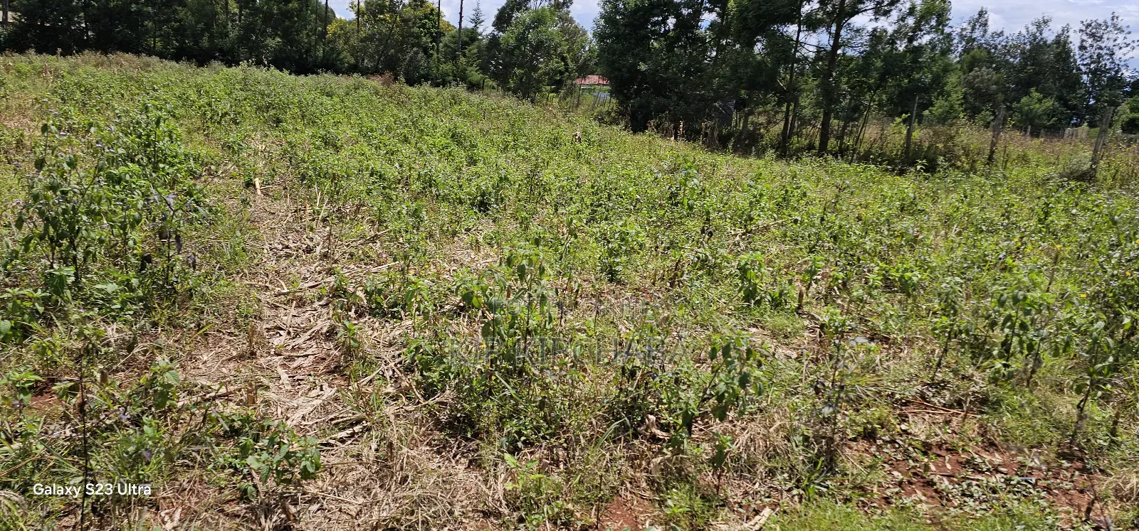 1⁄2 Acre Commercial Racecours Elgonview Eldoret