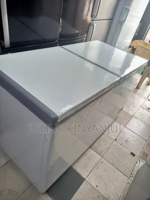 Deep Freezer Two Doors