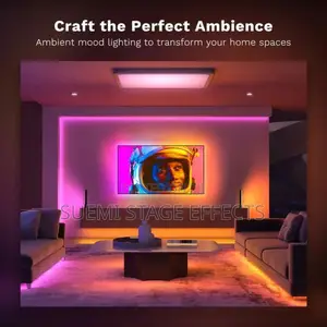 RGB LED Music Strip Light- Smart RGB Lighting!