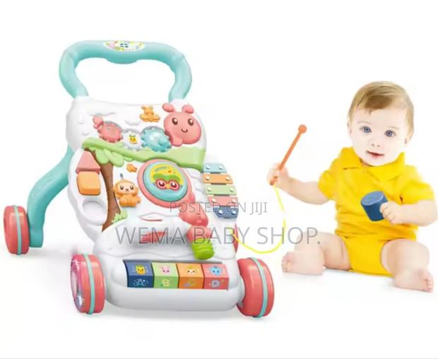 High Quality Musical Baby Push Walker - main view