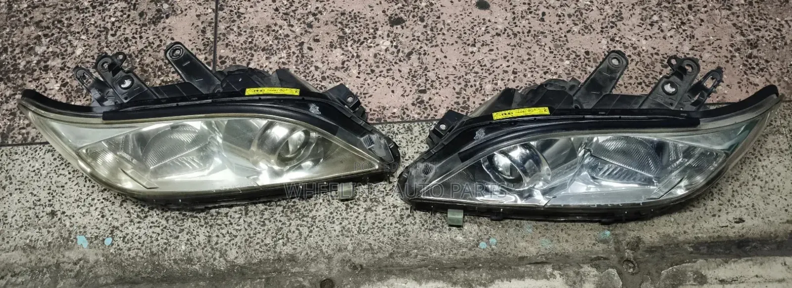 Toyota Vanguard Headlights
