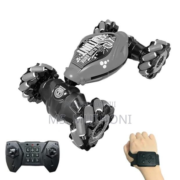 Hand Gesture and Remote Control Car* - main view