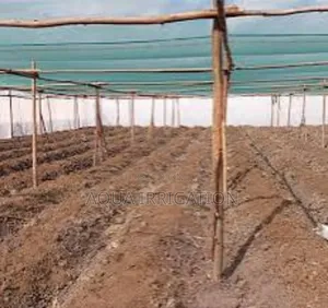Solar Guard Netting to Protect Plants From Overheating