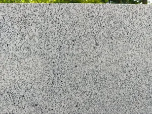 White Eldo Island Granite(2.4M * 0.9 M * 18mm)