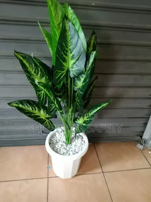 Decor Plant- Artificial
