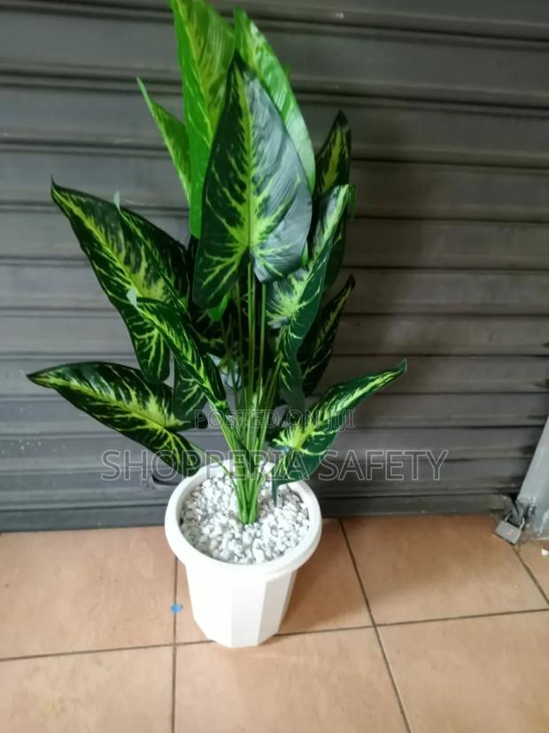 Decor Plant- Artificial - main view