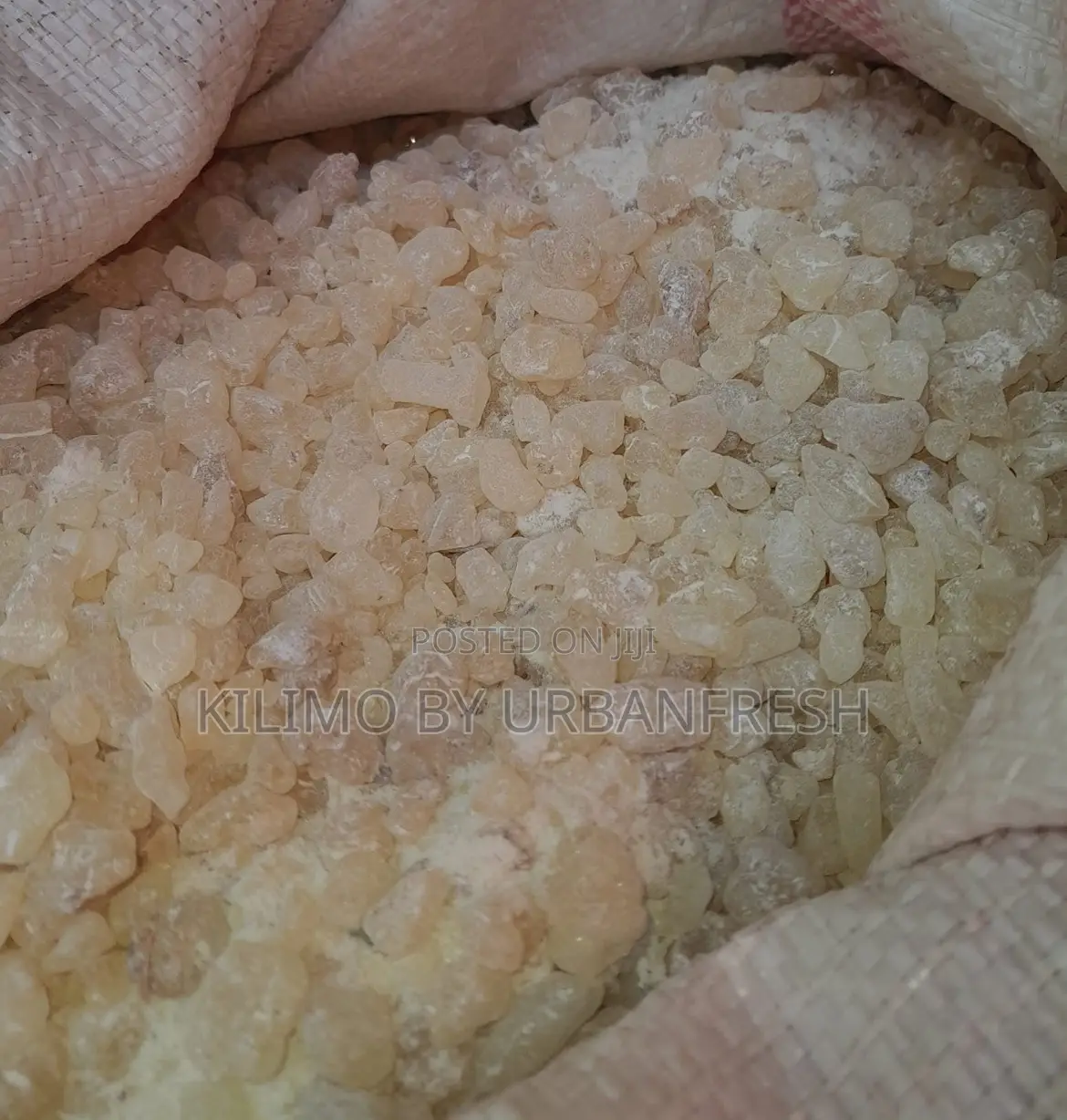 White Raisins 1 Kg