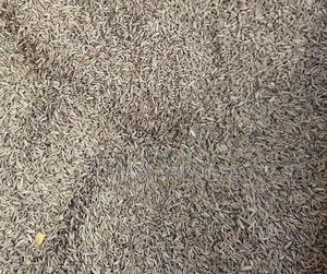 Fennel Seeds 1 Kg - thumbnail 2