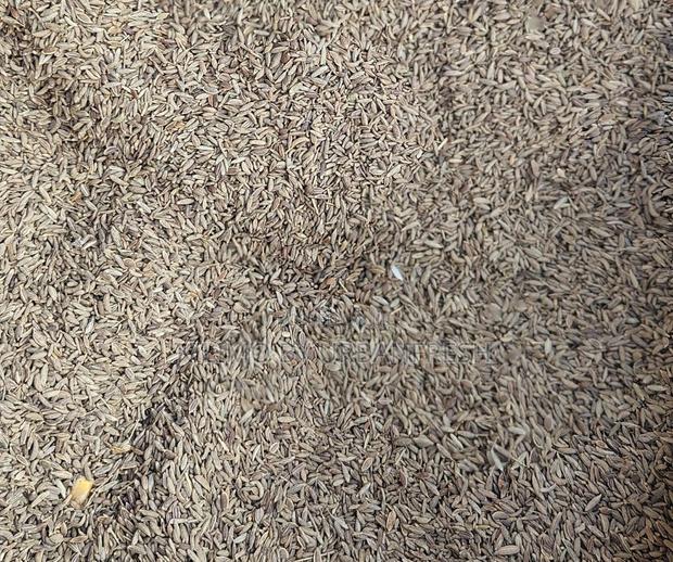 Fennel Seeds 1 Kg - main view