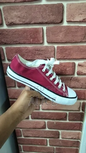 Converse All Stars-White