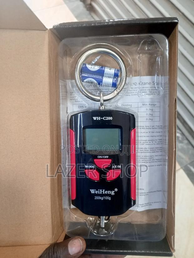 200kg Mini Crane Scale - main view