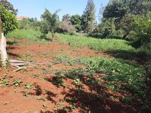 Kamiti Ridge 50 by 100 Prime Plot.