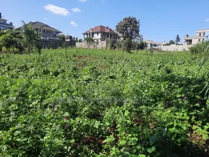 Kamiti Ridge 50 by 100 Prime Plot.