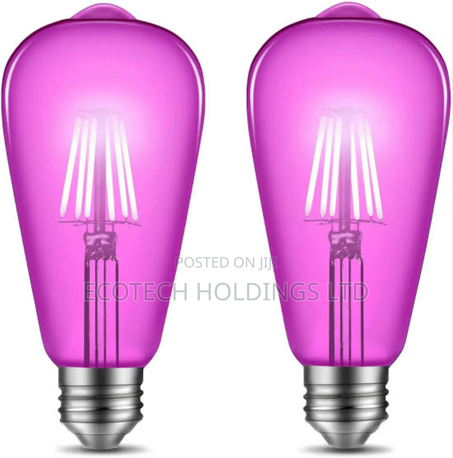 4wts Pink Filament Bulbs P02