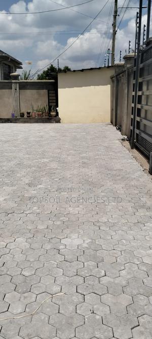 Cabro Hexagon Shape Per Sq Meter - main view