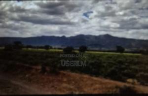 Affordable Land At Oltepesi Plains - thumbnail 2