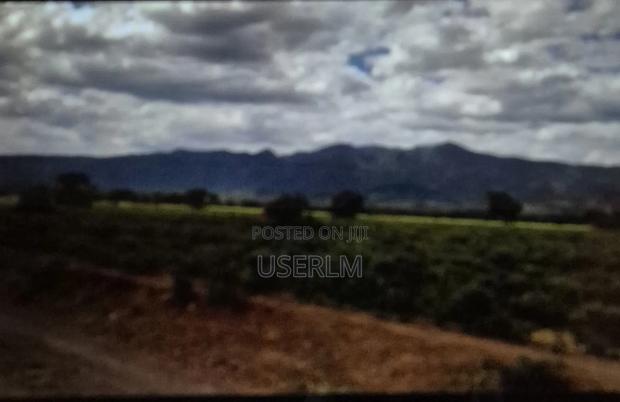 Affordable Land At Oltepesi Plains - main view