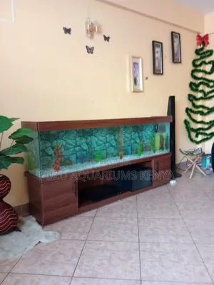 Lengthy Tv Stand Aquarium With Fish