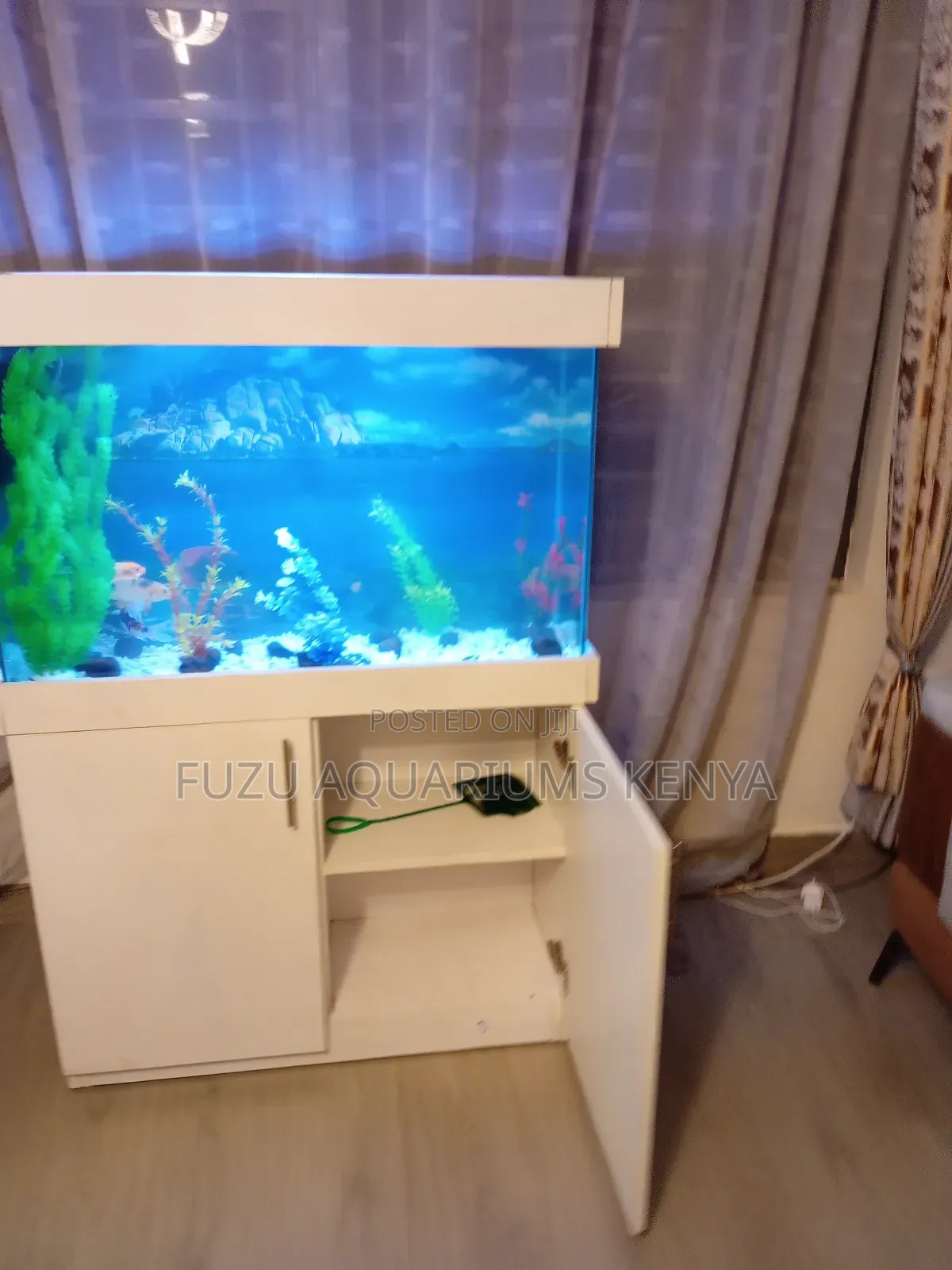 Fully Equipped Aquarium With Storage Cabinet