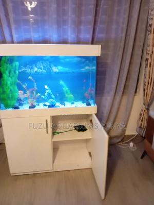 Fully Equipped Aquarium With Storage Cabinet - thumbnail 2