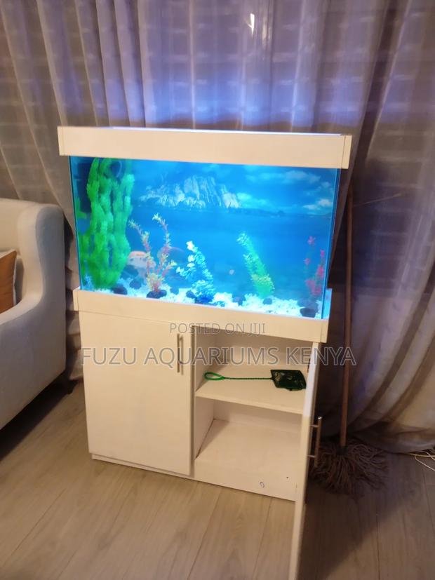 Brilliant White Aquarium With Cabinet and Fish
