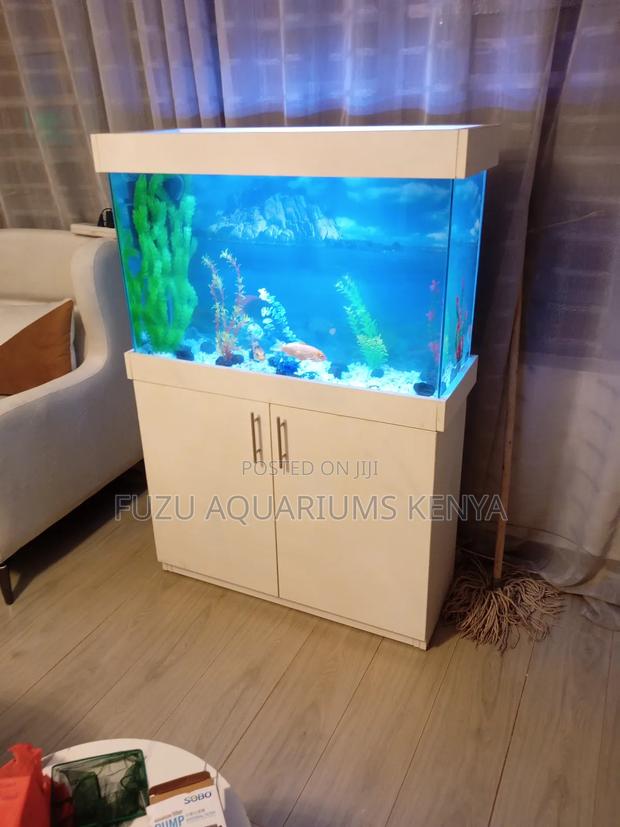 Bright White Aquarium - main view