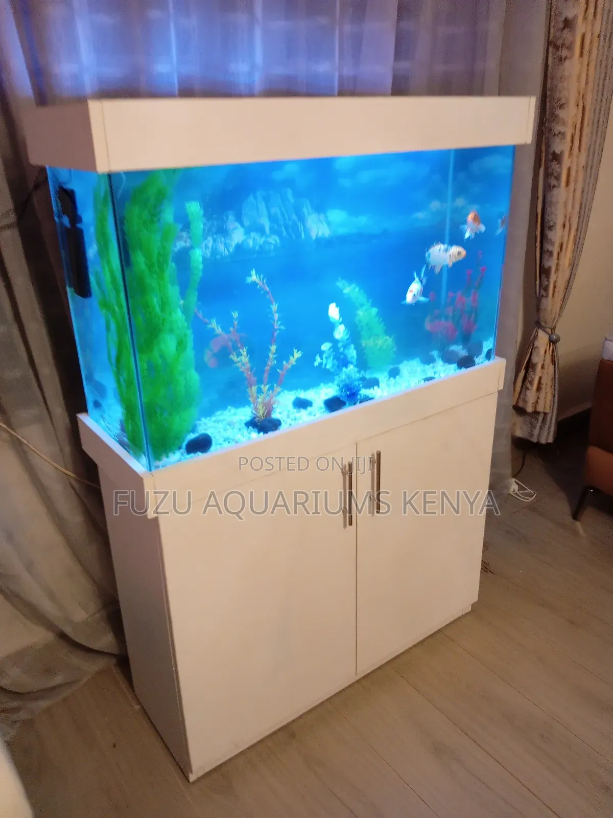 Radiant White Aquarium