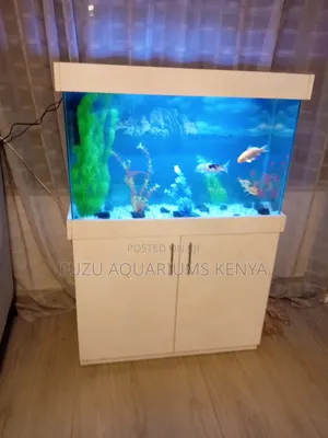 Snow White Aquarium Complete