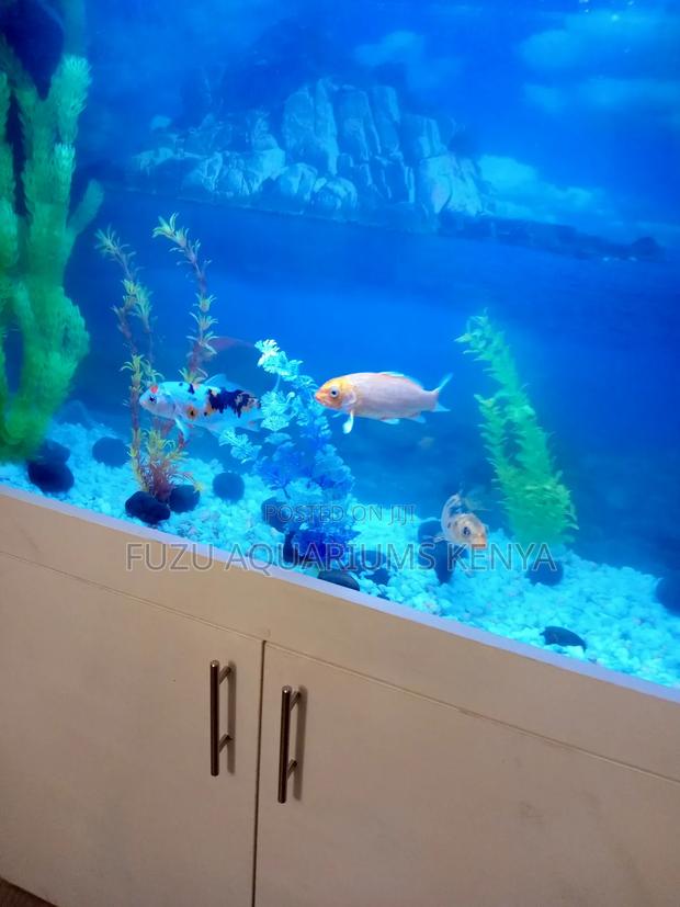 Fully Equipped Brilliant White Aquarium With Cabinet