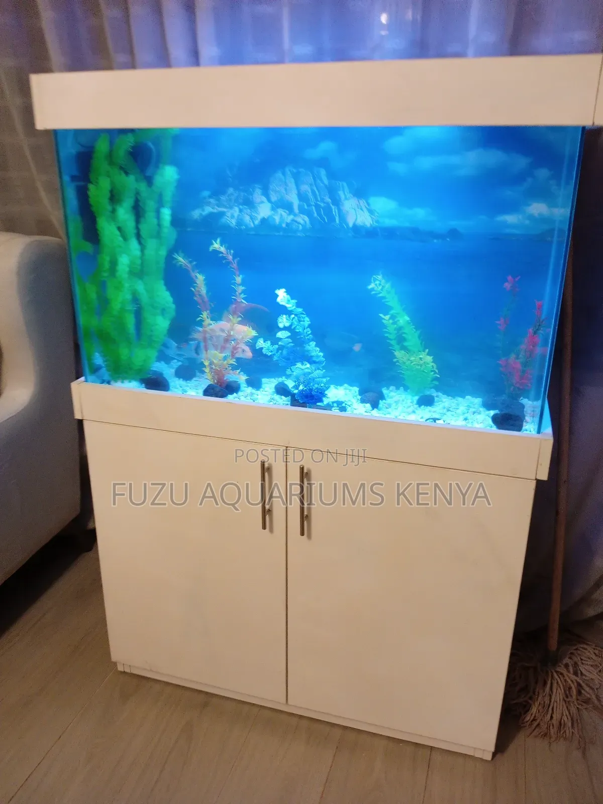 Fully Equipped Brilliant White Aquarium With Cabinet