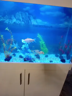 Customized White Aquarium With Cabinet for Home or Office
