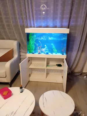 Fully Equiped White Aquarium With Fish and Cabinet